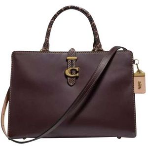 Coach Serra Satchel